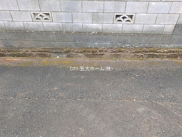 撮影日:2026/03/23