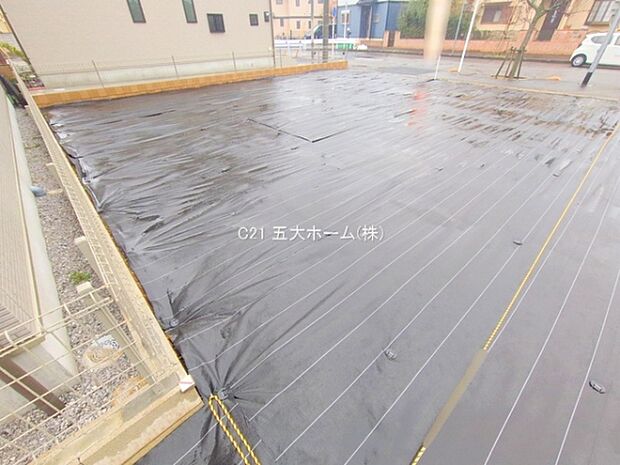 撮影日:2025/12/24