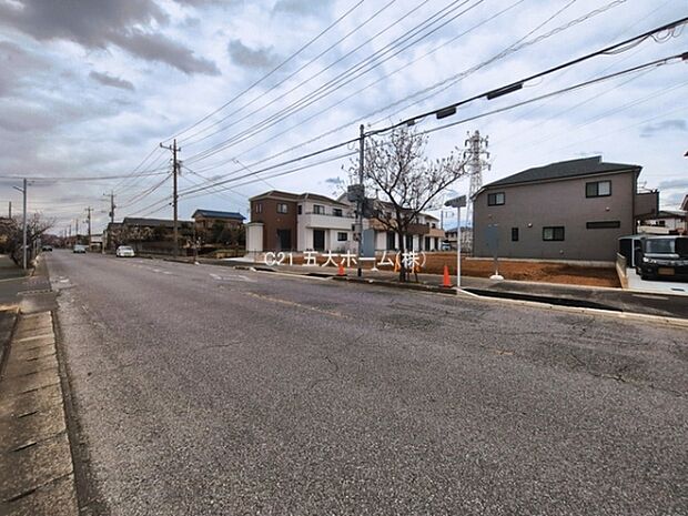 撮影日:2026/03/18