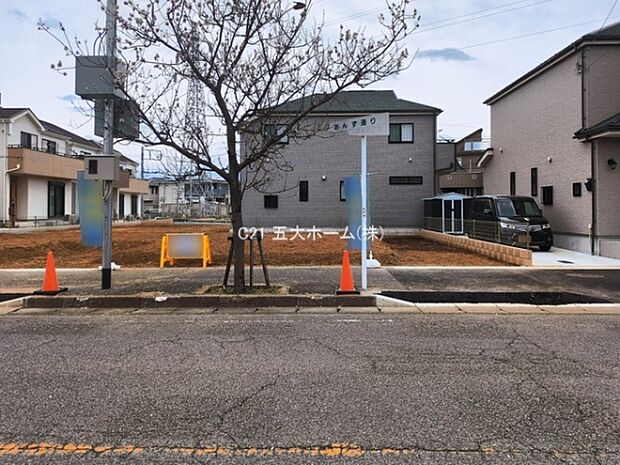 撮影日:2026/03/18