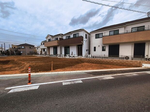 撮影日:2026/03/18