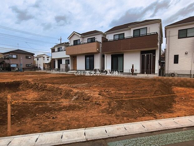 撮影日:2026/03/18