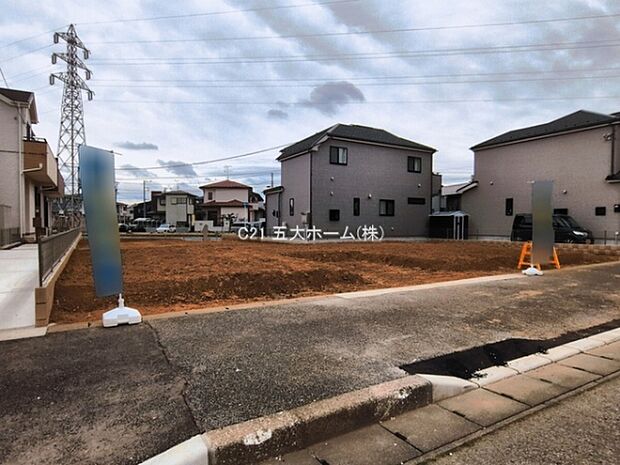 撮影日:2026/03/18