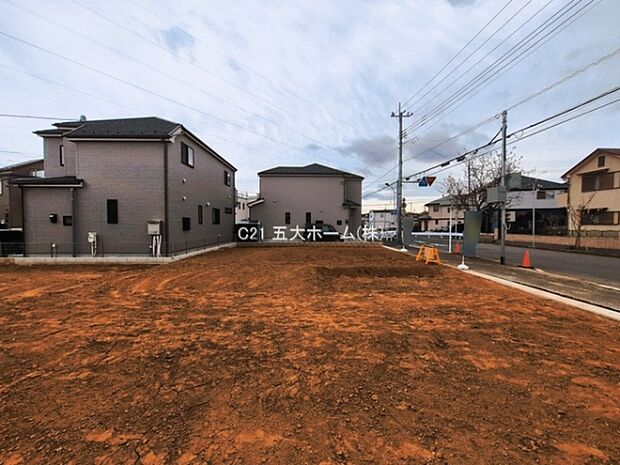 撮影日:2026/03/18