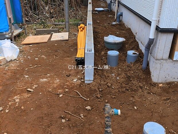 撮影日:2026/03/13