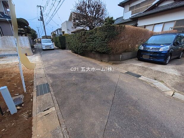 撮影日:2026/03/13