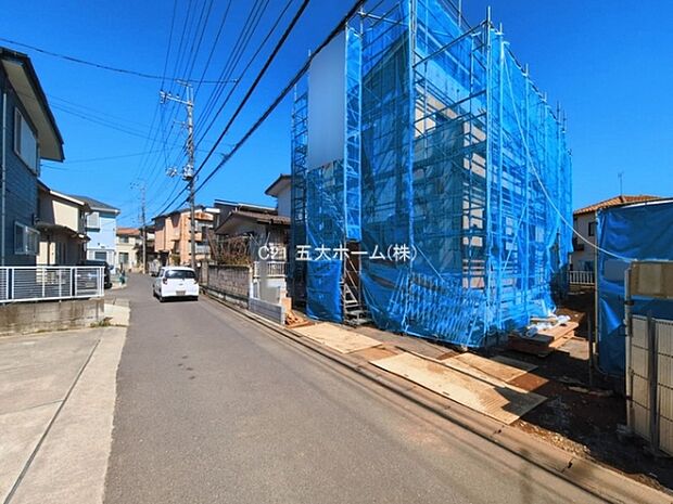 撮影日:2026/03/12