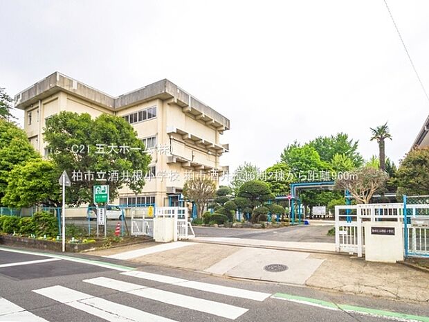 柏市立酒井根小学校まで800m、撮影日:2022/04/29 960 柏市立酒井根小学校