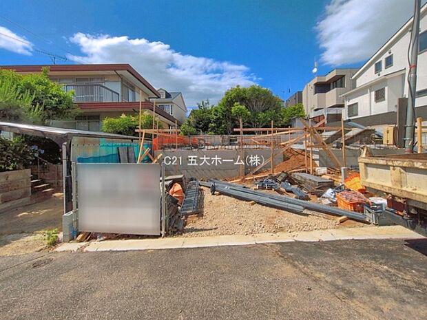 撮影日:2026/05/29