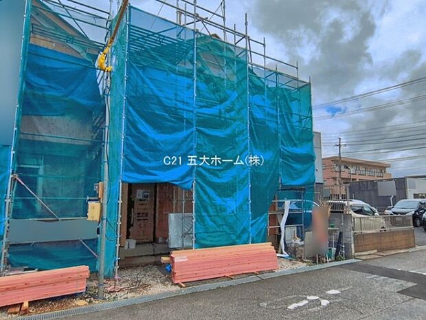 撮影日:2026/06/04