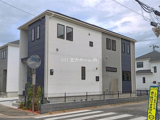 撮影日:2026/06/02