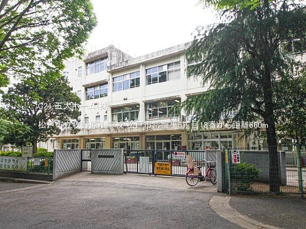 松戸市立牧野原小学校まで660m、撮影日:2023/05/11 660 松戸市立牧野原小学校