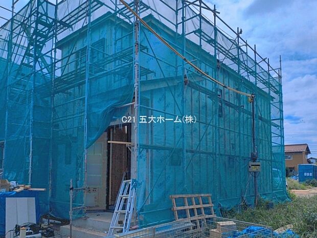 撮影日:2026/08/05