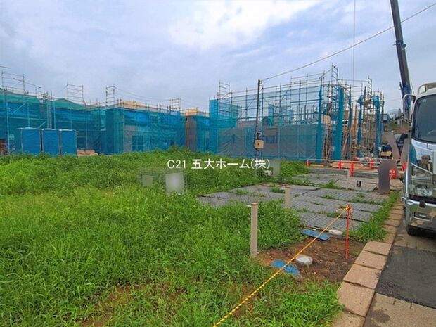 撮影日:2026/07/13