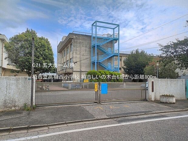 柏市立高柳西小学校まで800m、撮影日:2026/06/11　800　柏市立高柳西小学校