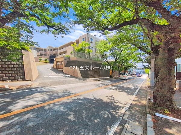 撮影日:2026/05/20