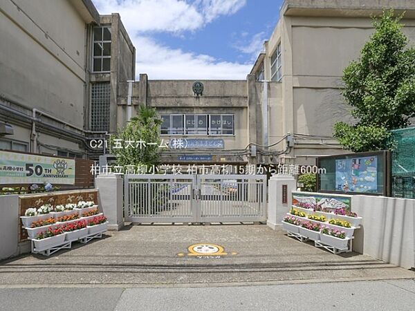 周辺を拡大表示