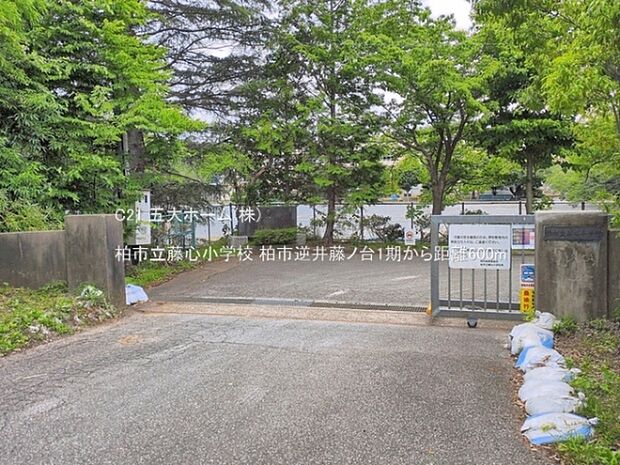 柏市立藤心小学校まで850m、撮影日:2026/06/22 600 柏市立藤心小学校