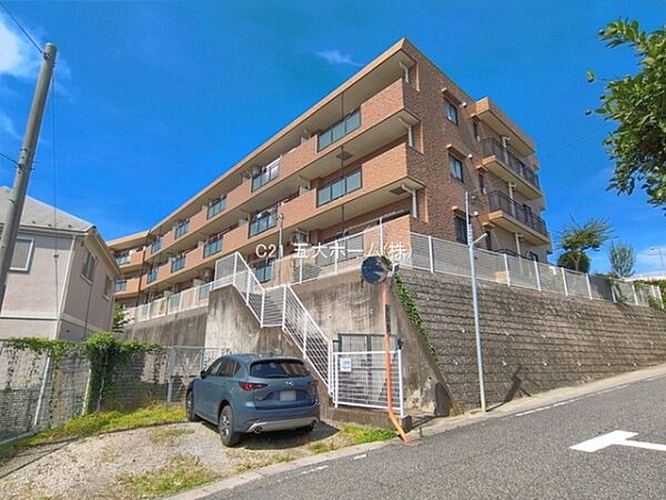 撮影日:2026/06/22