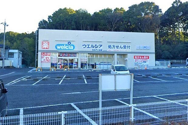 ウエルシア柏名戸ヶ谷店まで812m