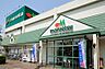 周辺：マルエツ小金原店まで492m