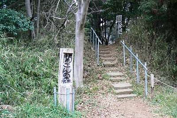 周辺を拡大表示