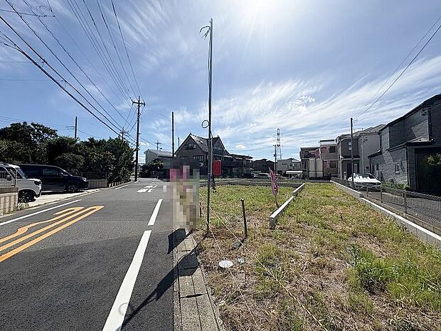 2025年7月下旬撮影