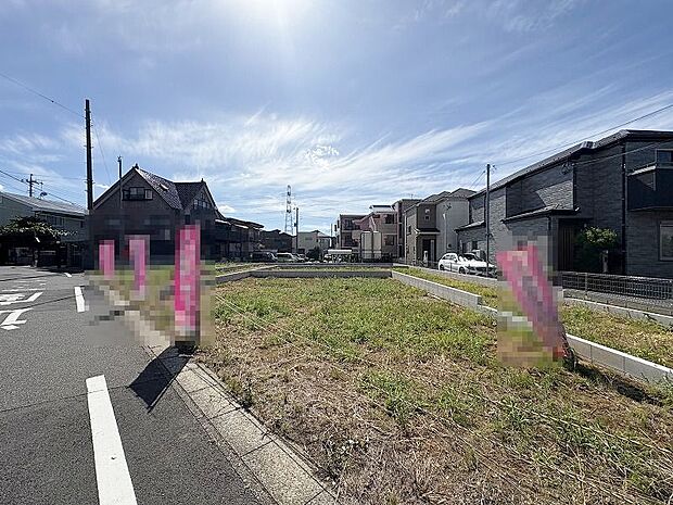 2025年7月下旬撮影