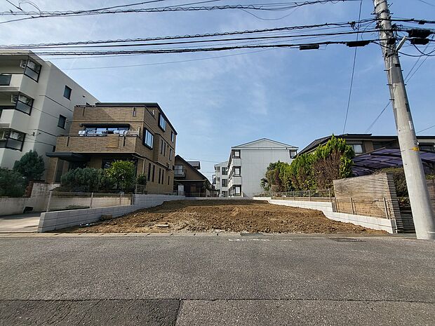 2025年3月下旬撮影