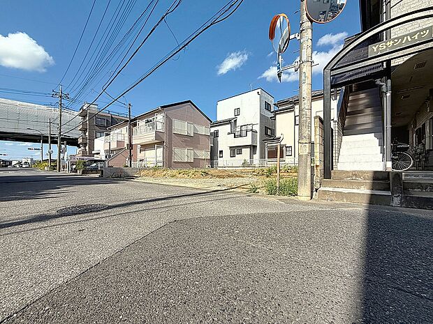 2025年8月上旬撮影