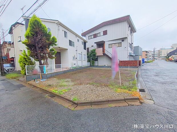 2025年5月初旬撮影。