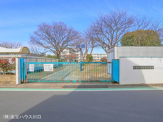 戸田市立笹目小学校 400m