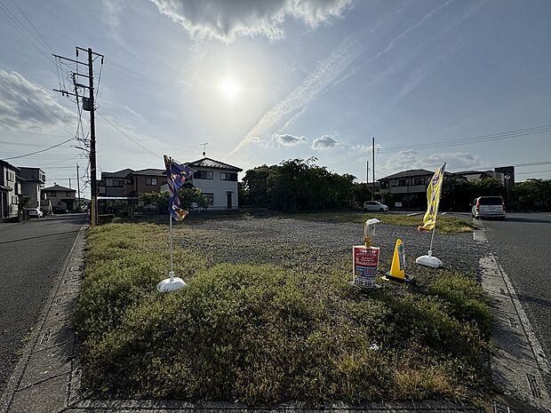 (2025年5月中旬撮影)