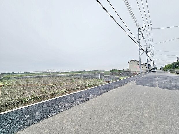 (2025年5月下旬撮影)