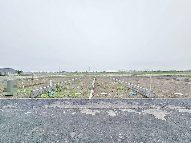 (2025年5月下旬撮影)