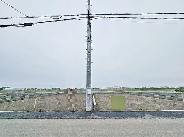 (2025年5月下旬撮影)