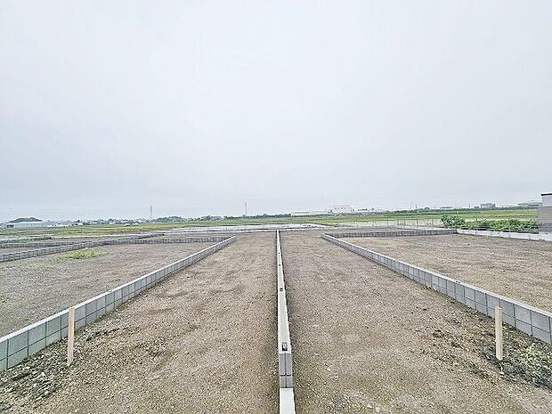 (2025年5月下旬撮影)