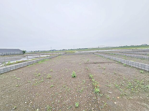 (2025年5月下旬撮影)