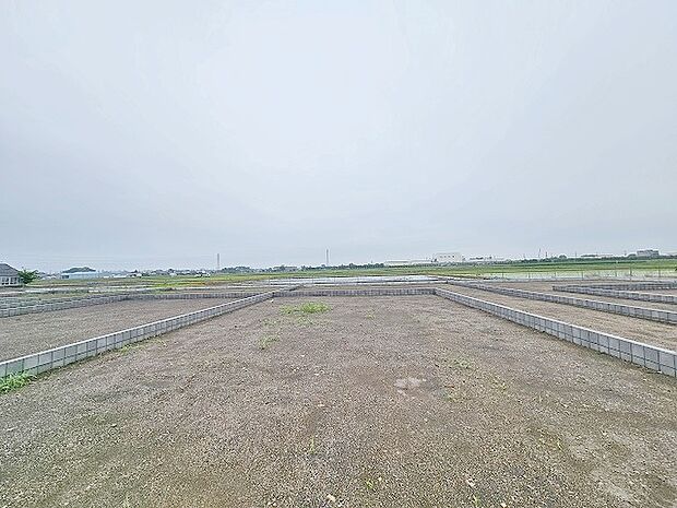 (2025年5月下旬撮影)