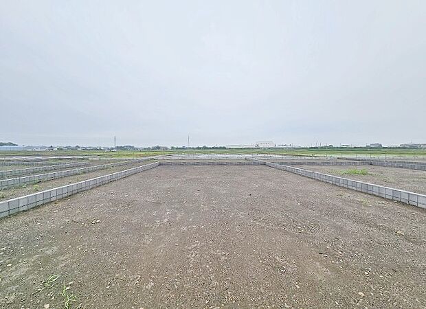 (2025年5月下旬撮影)