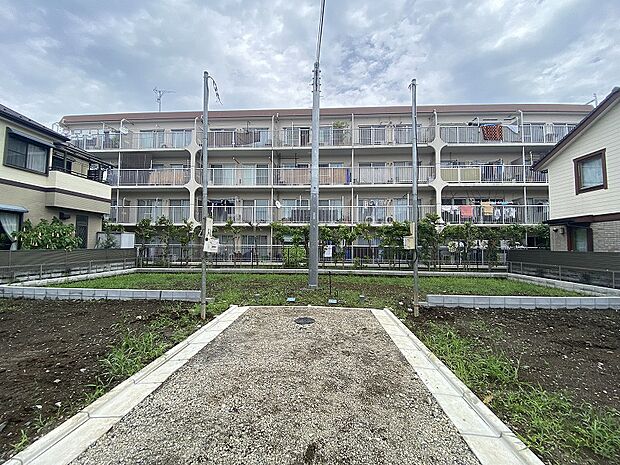 (2025年6月中旬撮影)