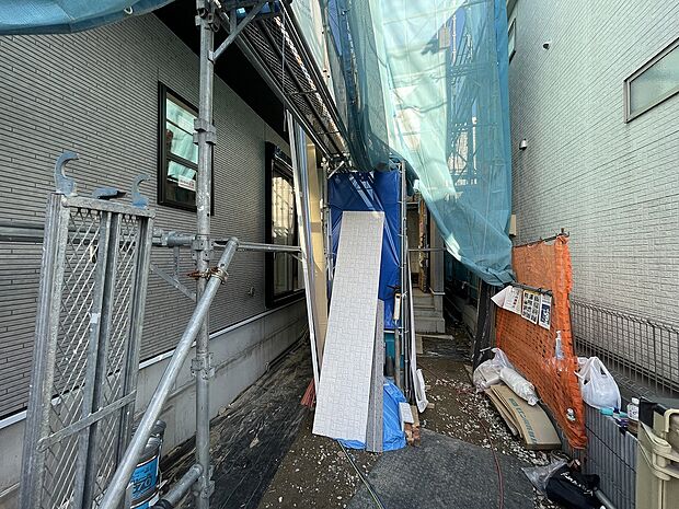 2025年10月初旬撮影