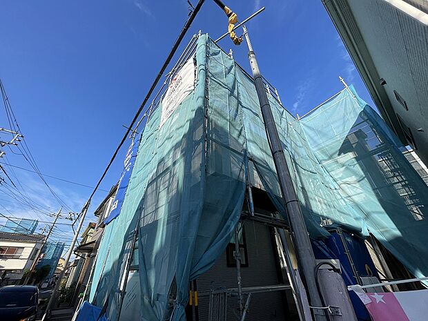 2025年10月初旬撮影