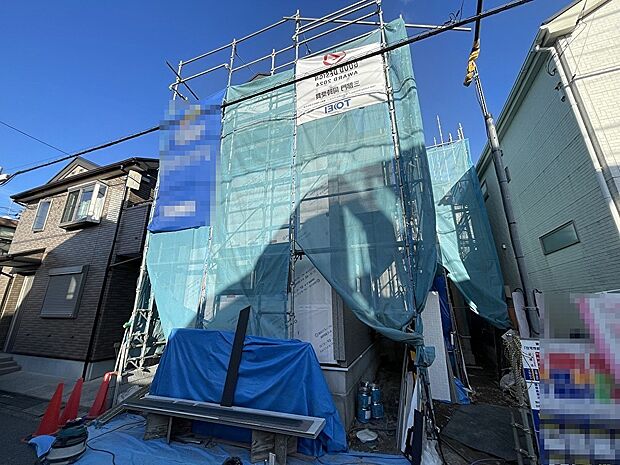 2025年10月初旬撮影