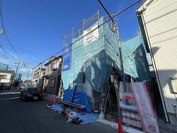 2025年10月初旬撮影