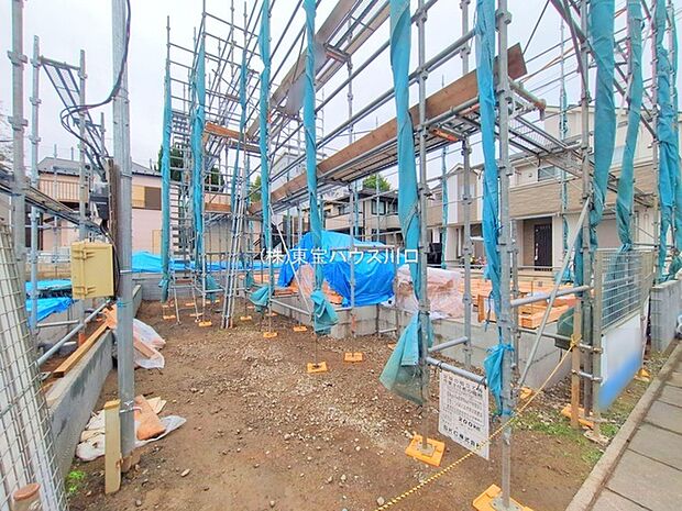 2025年10月中旬撮影