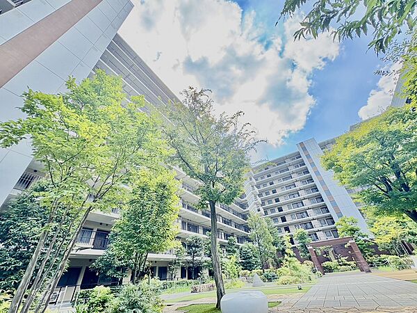 apartment 埼玉県志木市柏町１丁目6-35
地図を見る