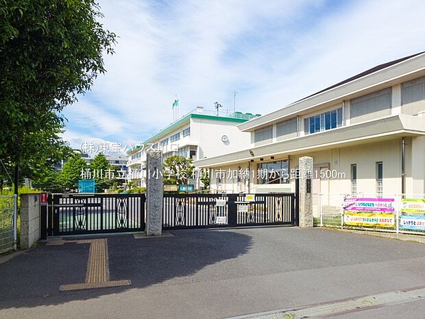 桶川市立桶川小学校 1500m