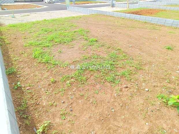 前面道路含む現地