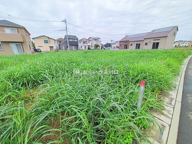 前面道路含む現地
